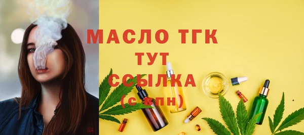 мдпв Щёлкино