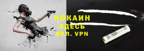 сатива Заводоуковск