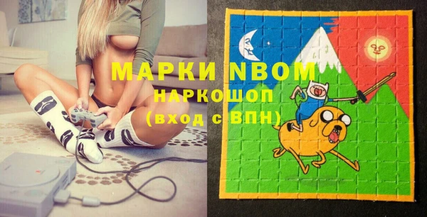 сатива Заводоуковск
