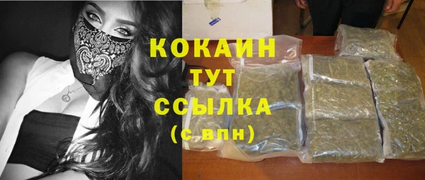 сатива Заводоуковск
