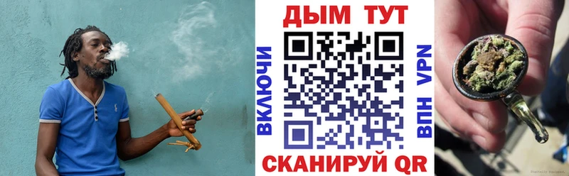 Бошки Шишки гибрид Саянск
